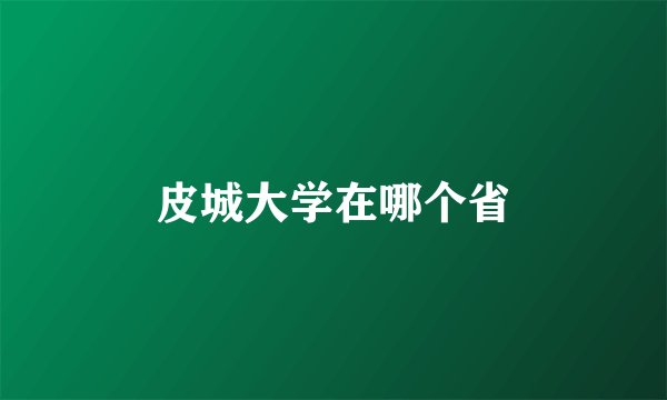 皮城大学在哪个省