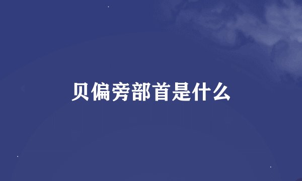 贝偏旁部首是什么