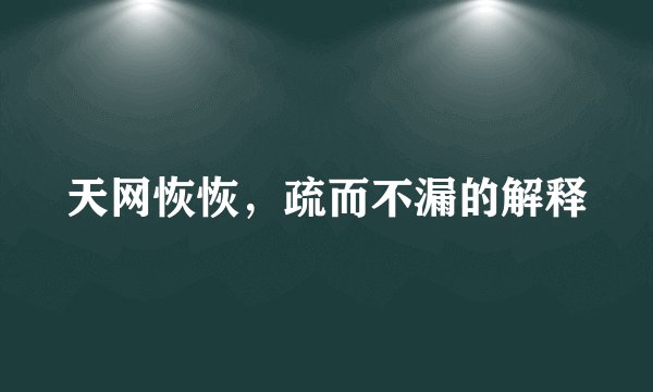 天网恢恢，疏而不漏的解释