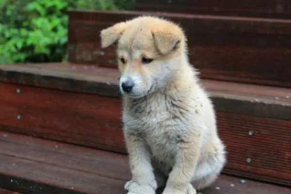 哀怨是什么意思