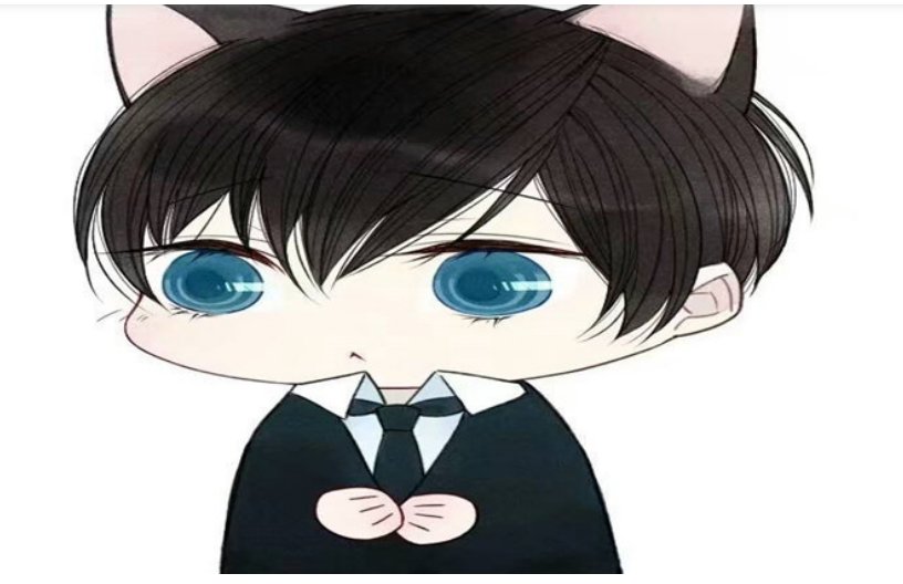 凯子是什么意思