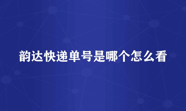 韵达快递单号是哪个怎么看
