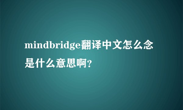 mindbridge翻译中文怎么念是什么意思啊？