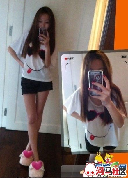 许韶纯的工作经历