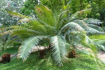 物种、种群和群落的概念？