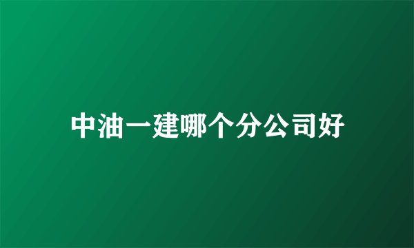 中油一建哪个分公司好