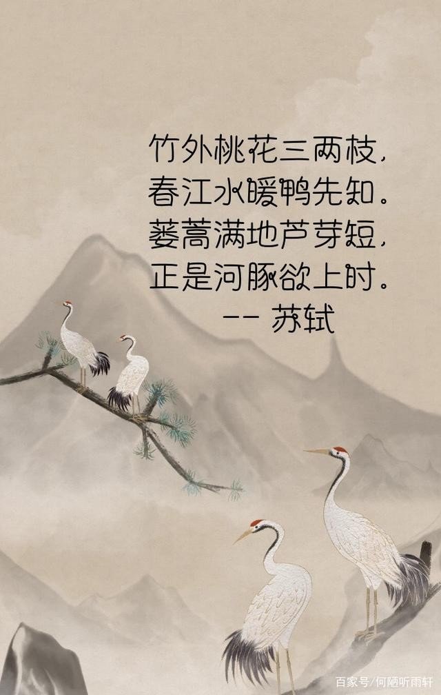 鸭字笔顺笔画