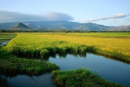 五常指的是哪些呢?