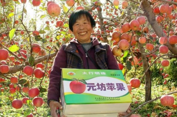 林果专业是干什么的