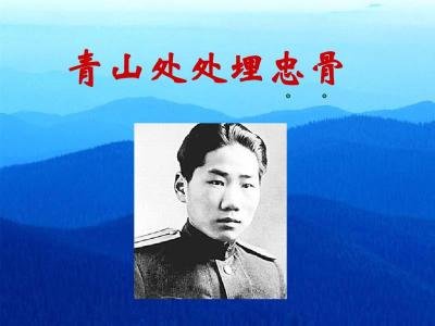青山处处理忠骨主要内容20字