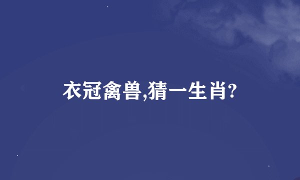 衣冠禽兽,猜一生肖?