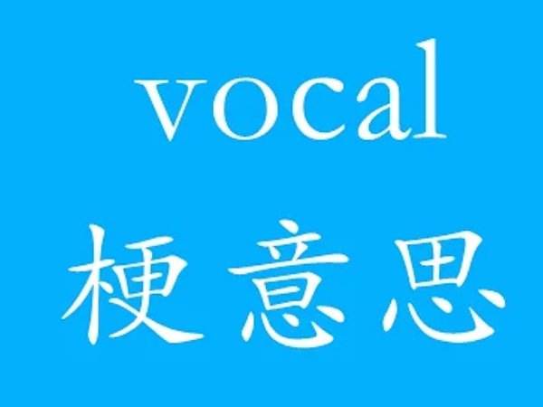 vocal网络是什么意思