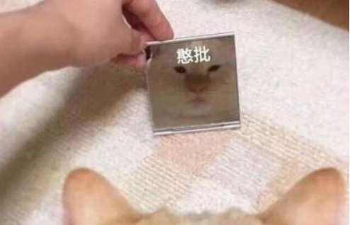 憨批是什么意思？