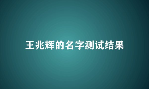 王兆辉的名字测试结果