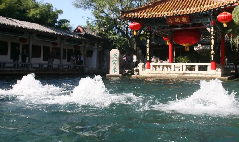 趵的读音和意思