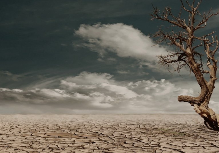 疮痍的拼音和意思