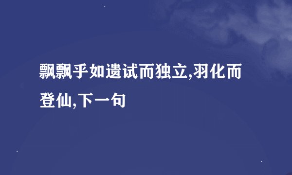 飘飘乎如遗试而独立,羽化而登仙,下一句
