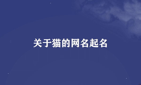 关于猫的网名起名