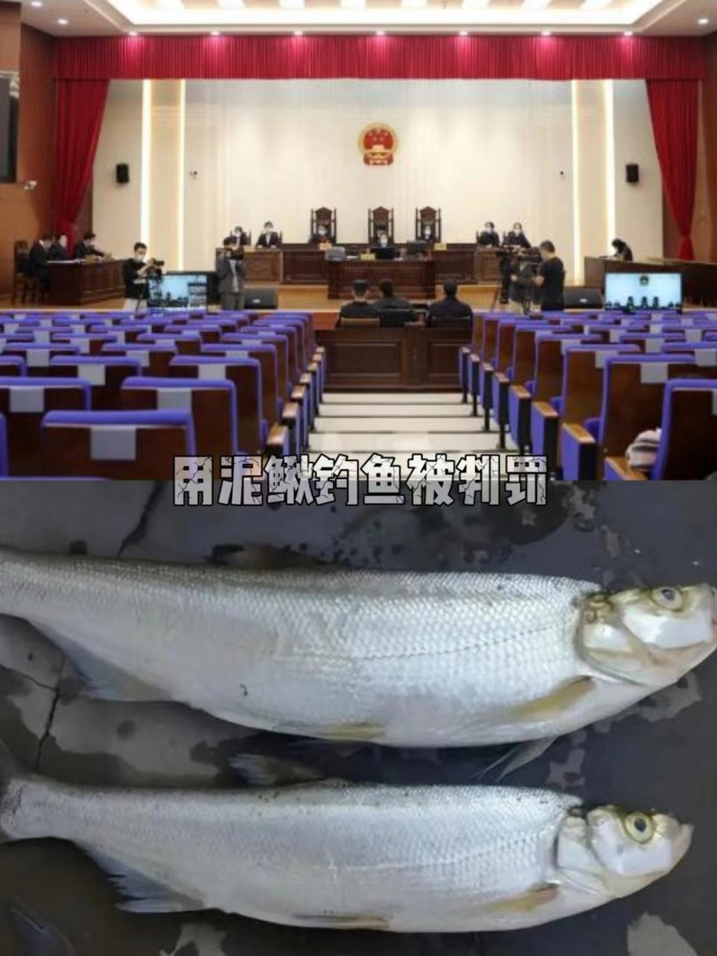 用活泥鳅钓鱼,为何会判刑?你能理解吗?