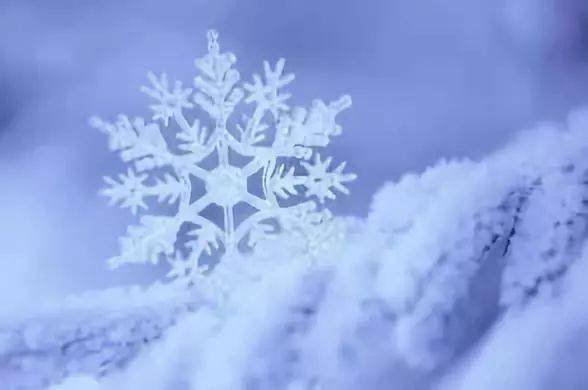 15日起新一股冷空气来袭，华北北部东北地区将明显降温，应注意哪些方面？