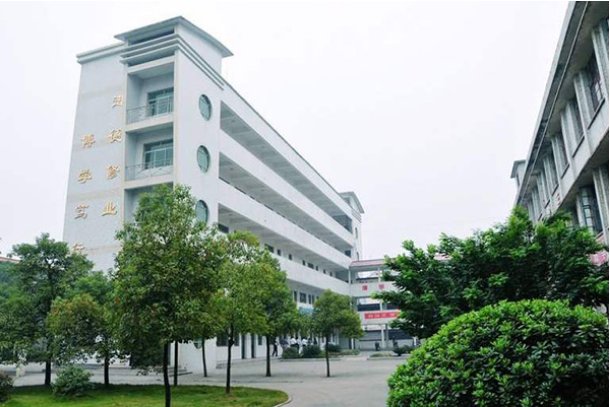 安岳中学分班情况