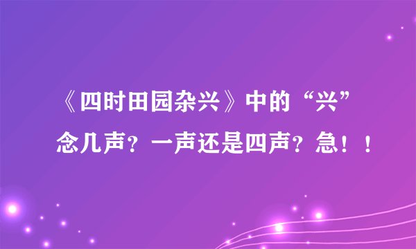 《四时田园杂兴》中的“兴”念几声？一声还是四声？急！！