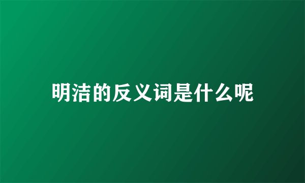明洁的反义词是什么呢