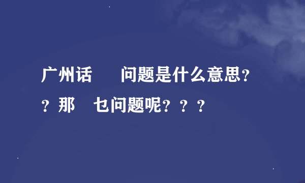 广州话  冇问题是什么意思？？那冇乜问题呢？？？