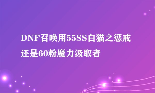DNF召唤用55SS白猫之惩戒还是60粉魔力汲取者
