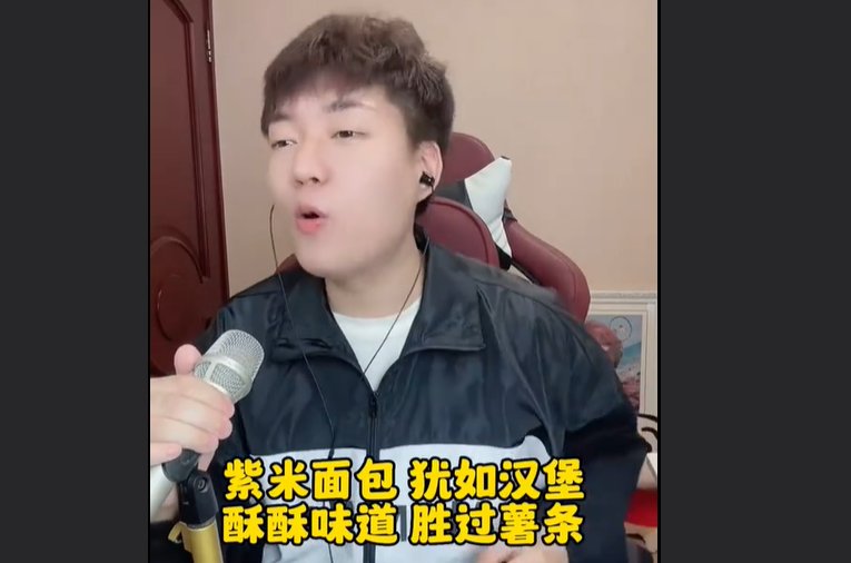 紫米面包犹如汉堡是什么梗？