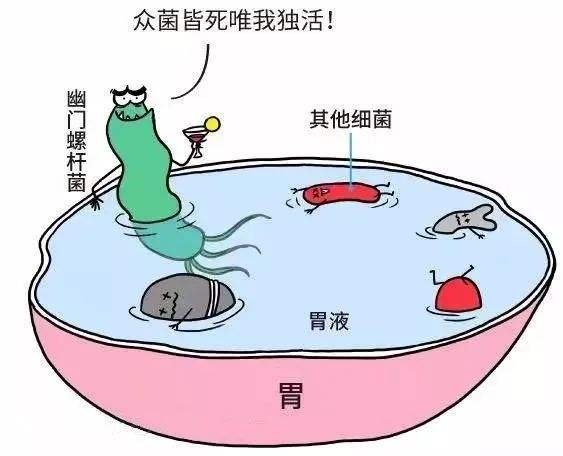 我国超一半人都携带幽门螺杆菌，它对人的身体会带来哪些危害？