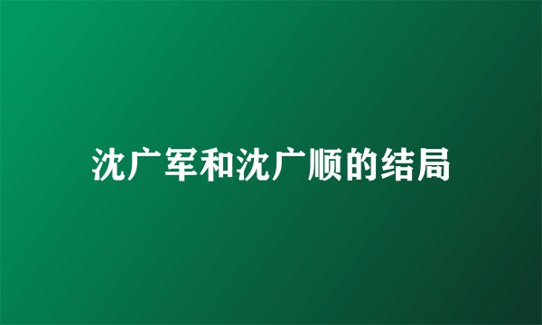 沈广军和沈广顺的结局
