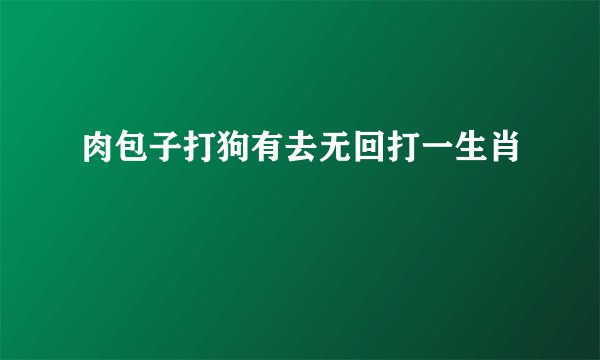 肉包子打狗有去无回打一生肖