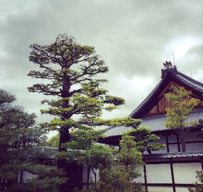 为什么日本叫霓虹国？