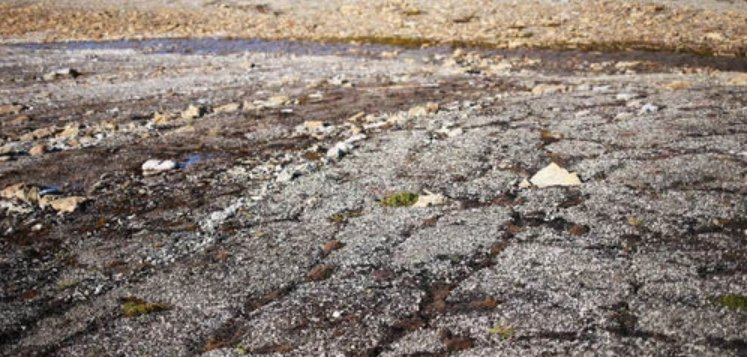 零下8度能冻多深？