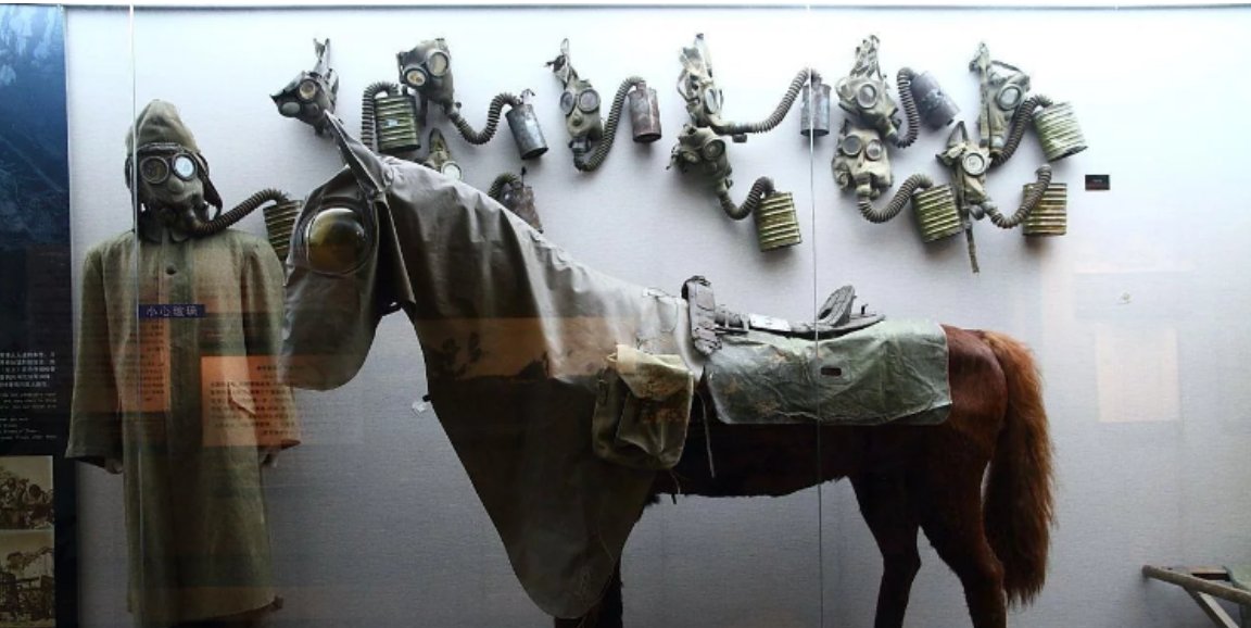 日本鬼子说的，马路大，什么意思？