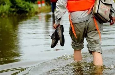 淌浑水什么意思