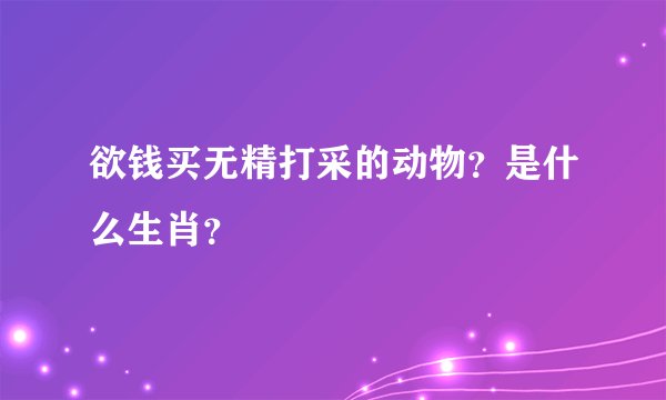 欲钱买无精打采的动物？是什么生肖？