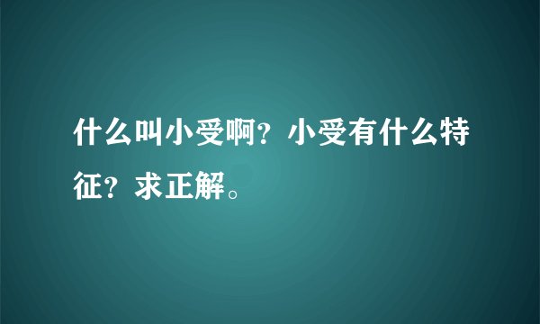 什么叫小受啊？小受有什么特征？求正解。
