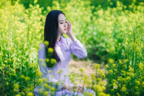 摽梅之年 是什么意思？