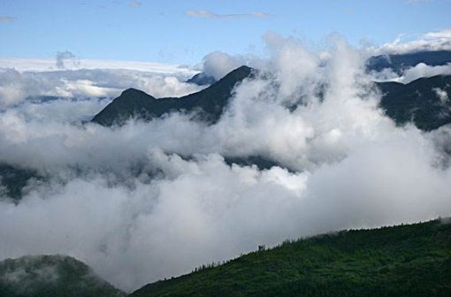 有哪些雾的词语