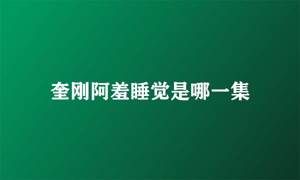 奎刚阿羞睡觉是哪一集