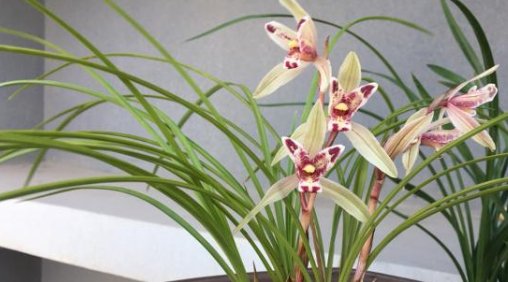 风吹云动心不动，什么意思