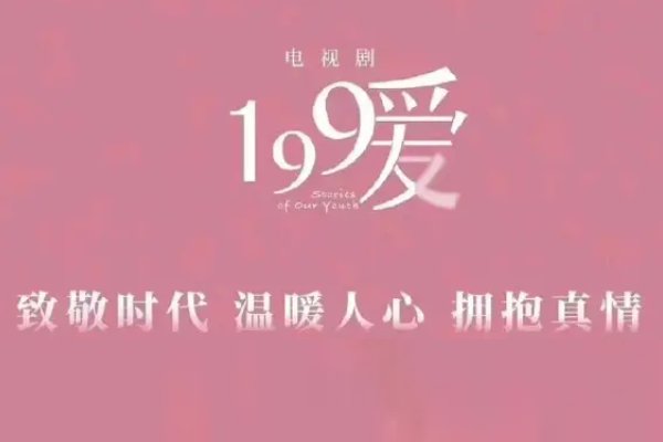 请简要介绍一下《199爱》这部剧？