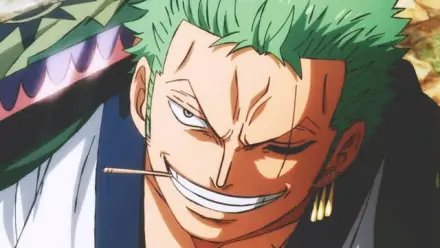 路飞的海贼团里面有多少人啊?