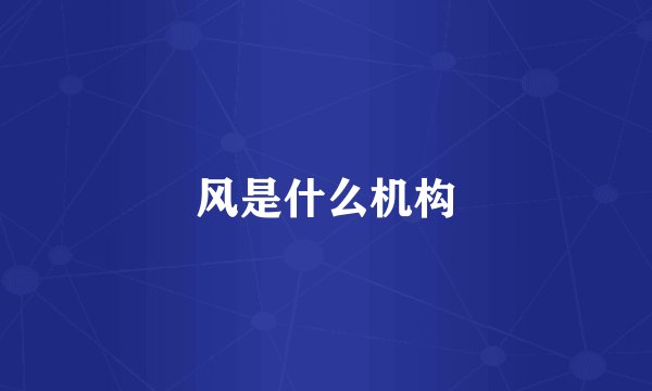 风是什么机构