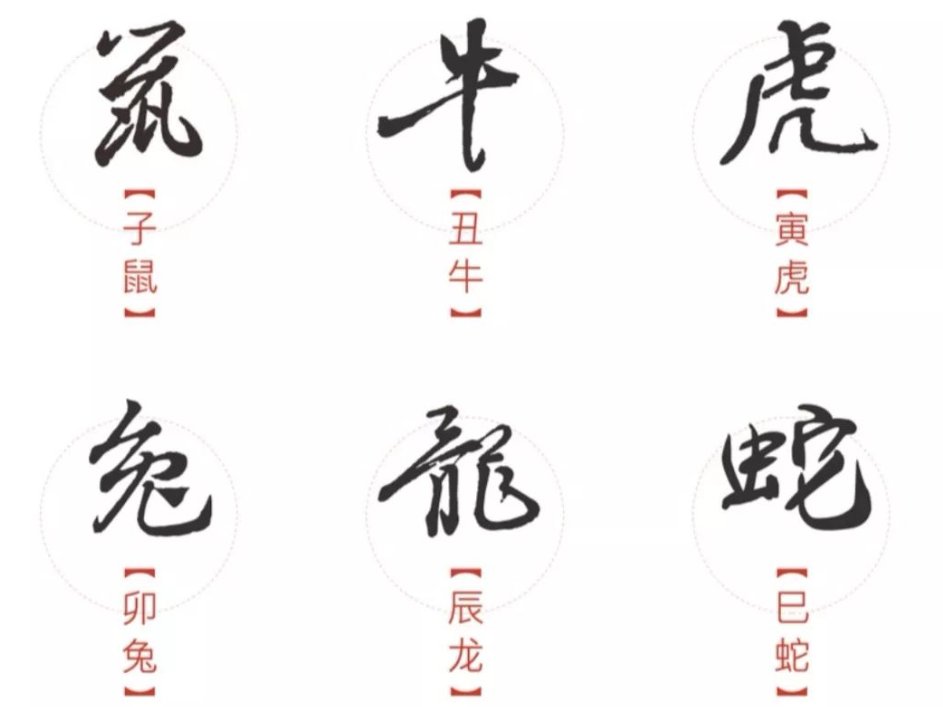 坑龙有悔是什么生肖