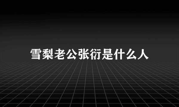 雪梨老公张衍是什么人