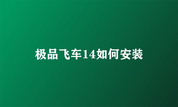 极品飞车14如何安装