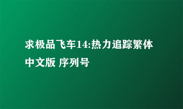 求极品飞车14:热力追踪繁体中文版 序列号